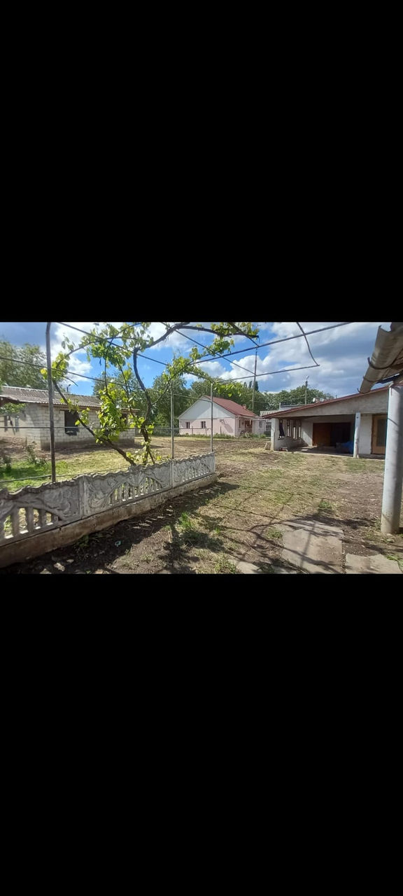 vind casa stefan voda фото 1