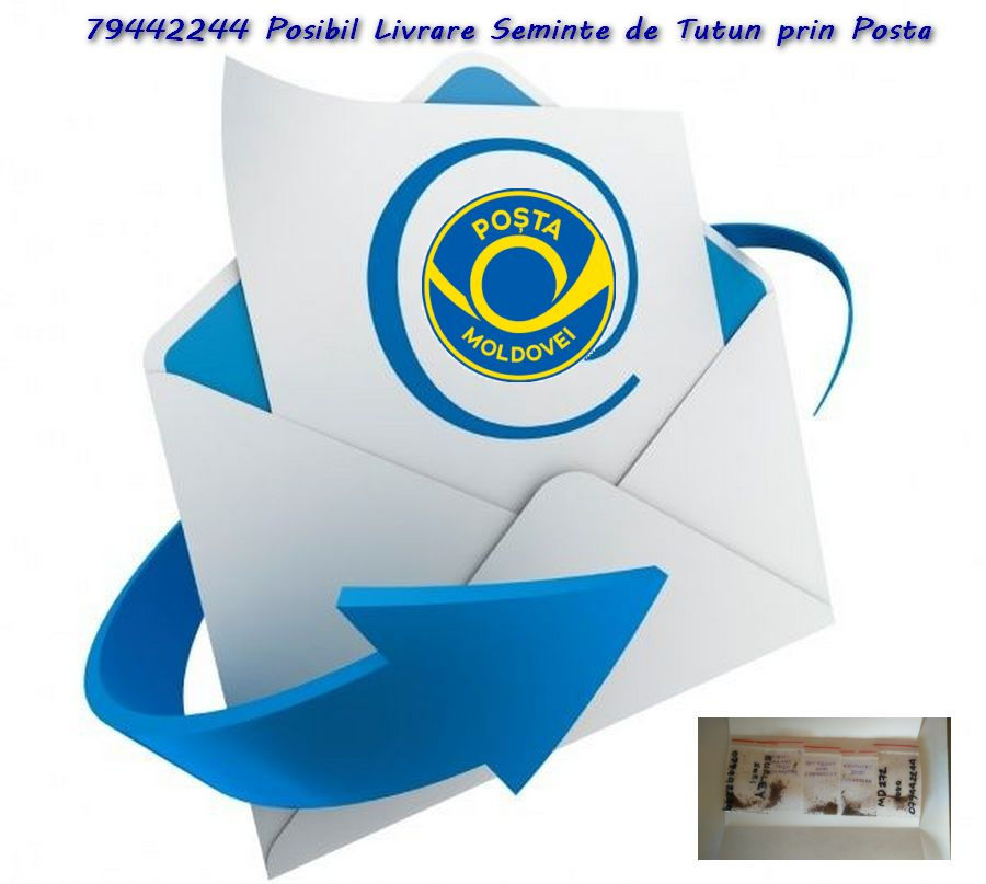 Seminte tutun cемена табака разные сорта!!! foto 7