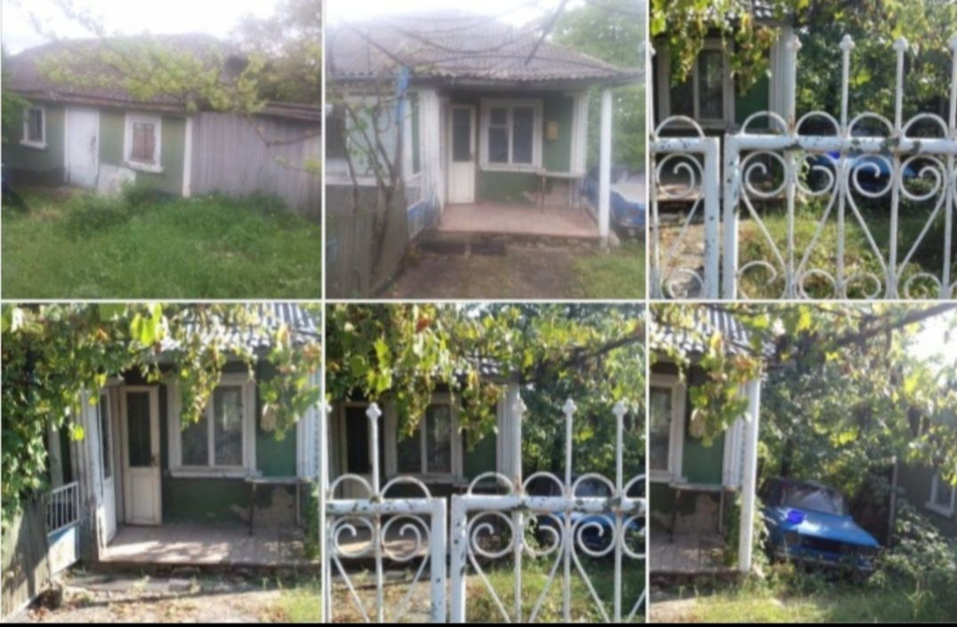 Дом 2 Фото Бывших