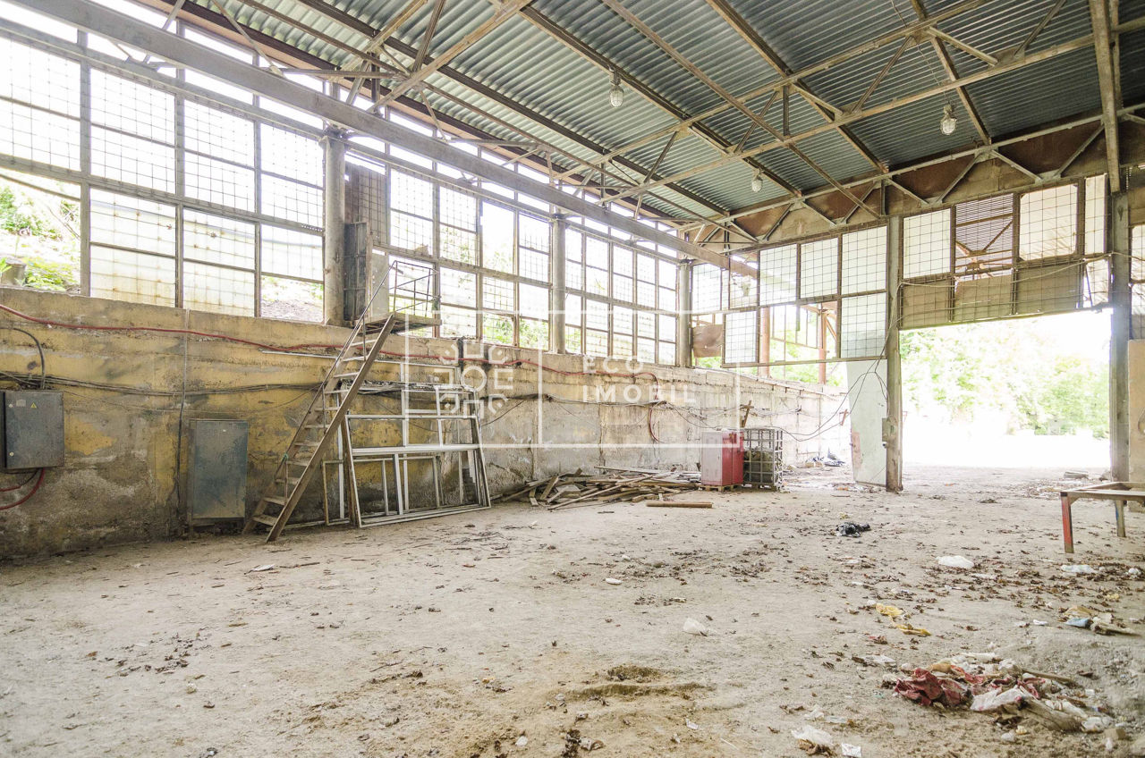 Poșta Veche, str. Socoleni, vânzare spațiu industrial, 2000 m.p foto 17