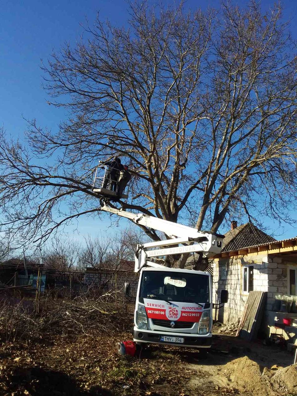 Servicii taiere copaci! foto 4