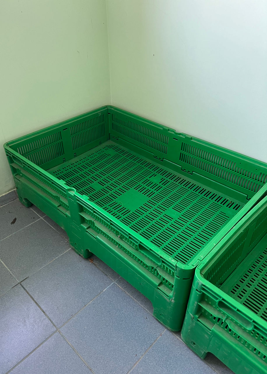 Продаются складные пластиковые ящики