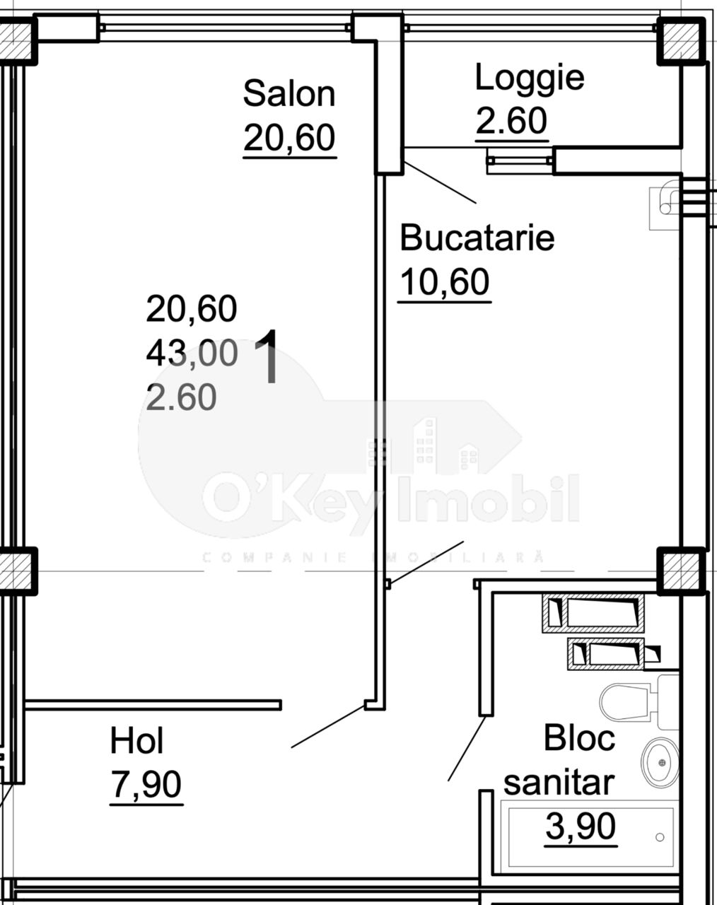 Apartament cu 1 cameră, 46 m², Centru, Cojușna, Strășeni foto 1