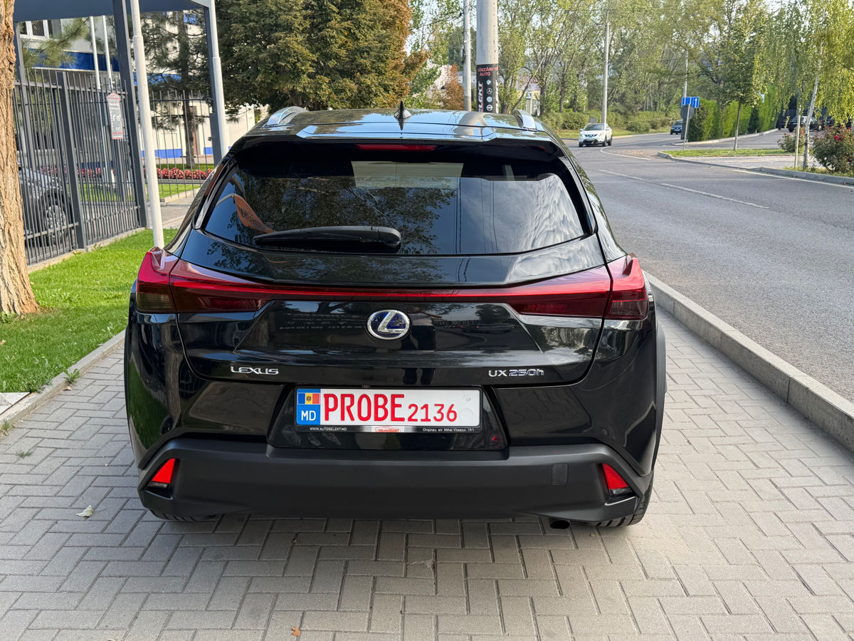 Lexus UX 2020 photo 6