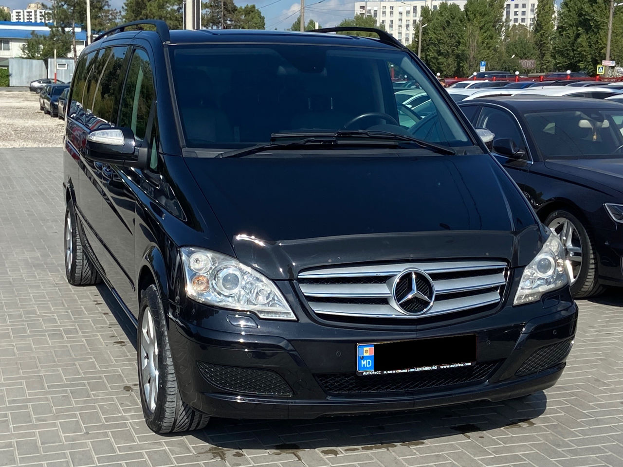 Mercedes Viano foto 3