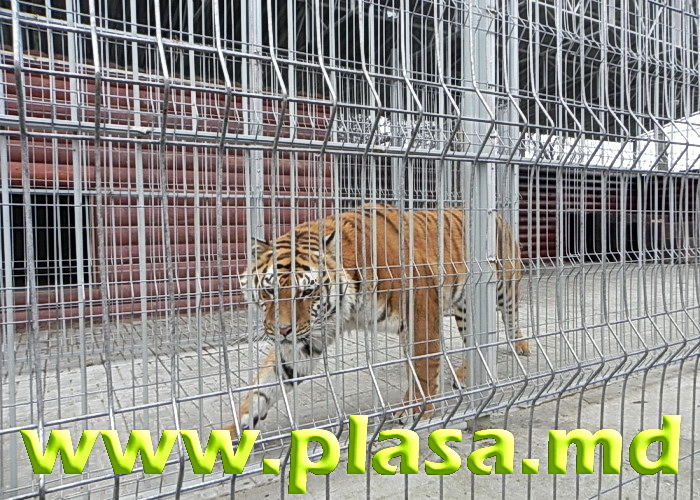 Plasa pentru custi,voliere,imprejmuire,tencuiala,umbrire,cernut,gabioane,armare foto 6