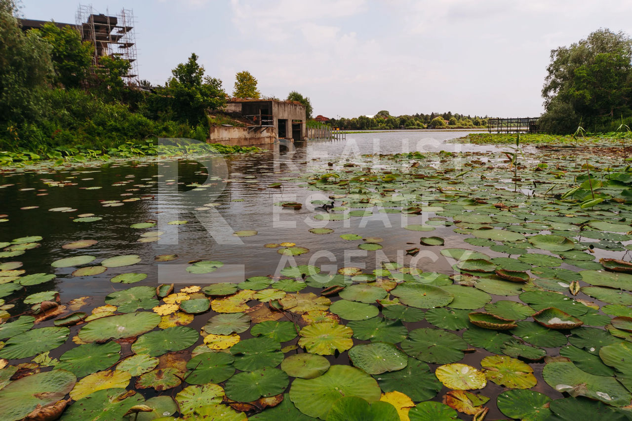 Casa cu piscina si iesire la lacul Snagov, 4 camere foto 5
