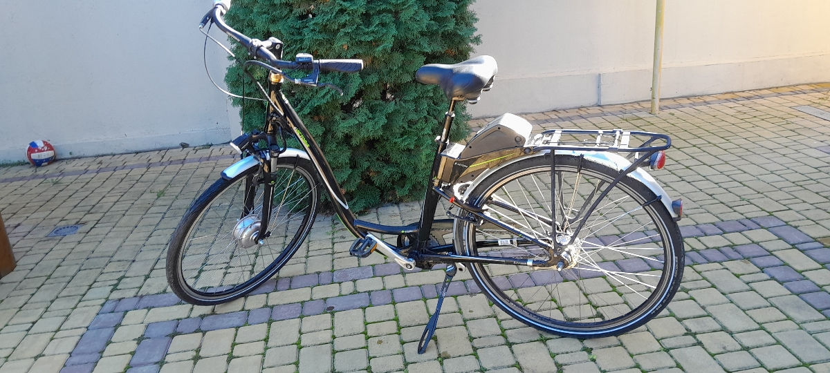 Biciclete electrice  foto 1