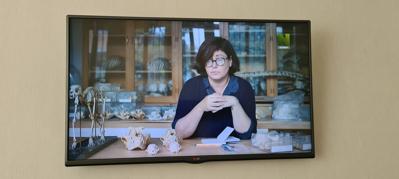 Urgent LG mare LED Smart 3D Youtube diagonala 108cm foto 9