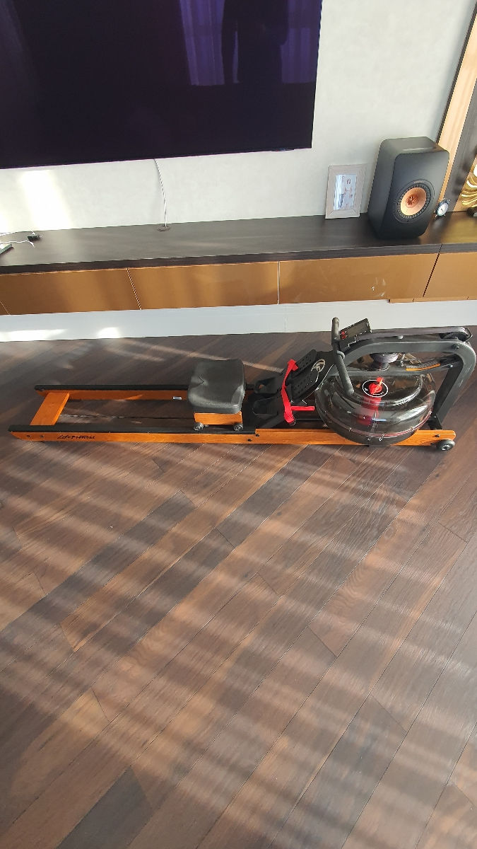 Гребной тренажер Life Fitness Row HX foto 1