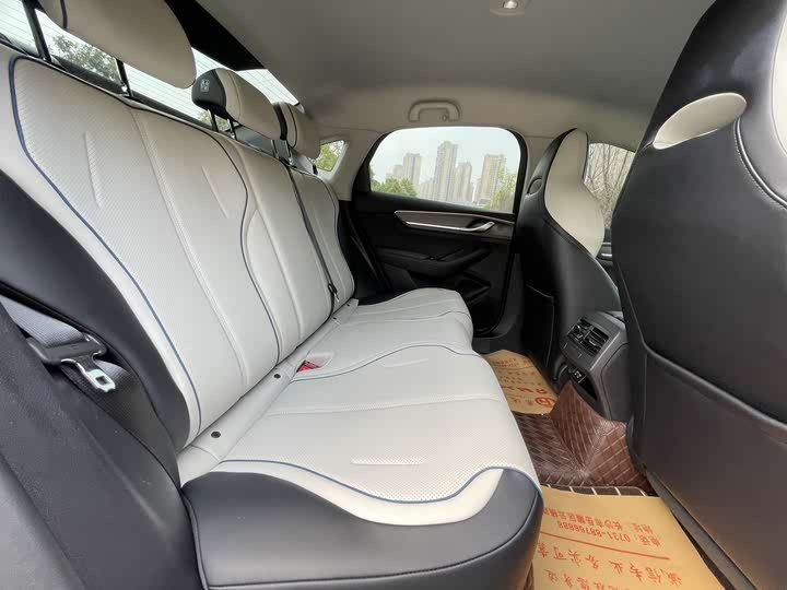 Byd Destroyer 05 фото 3