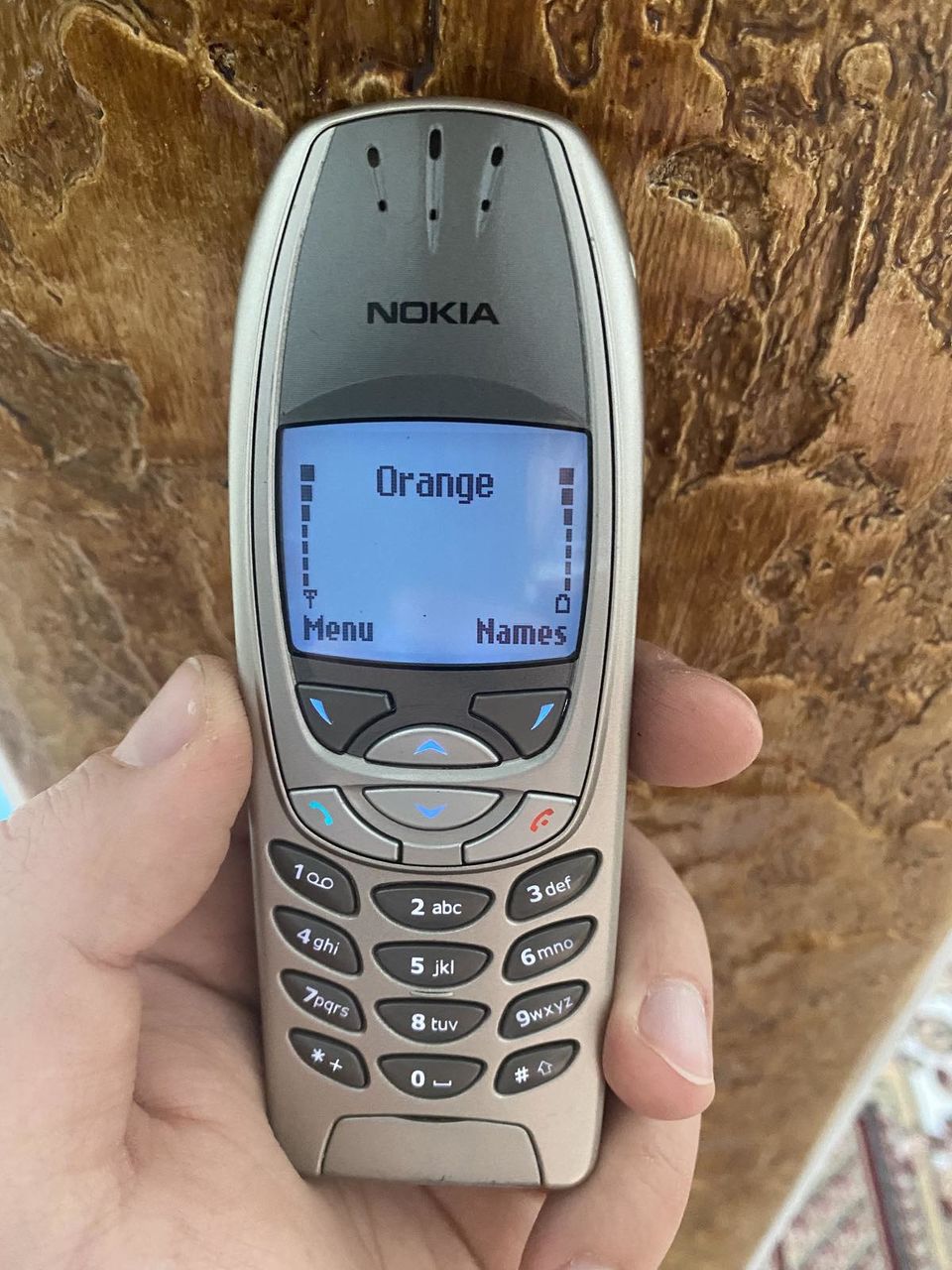 Nokia 6310i