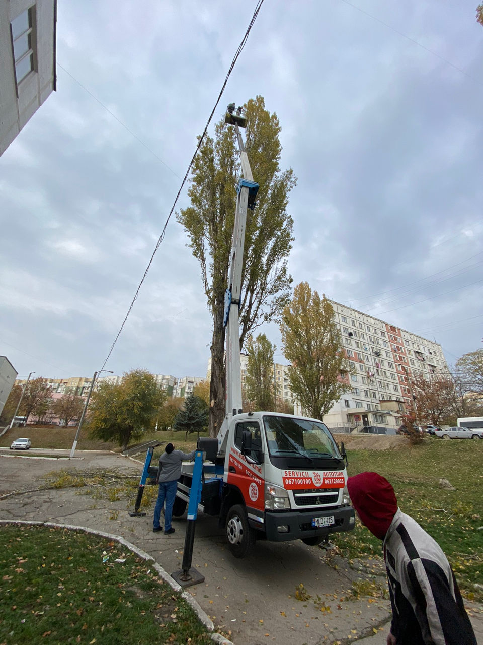 Defrisari - servicii profesionale! Curățare copaci! foto 10