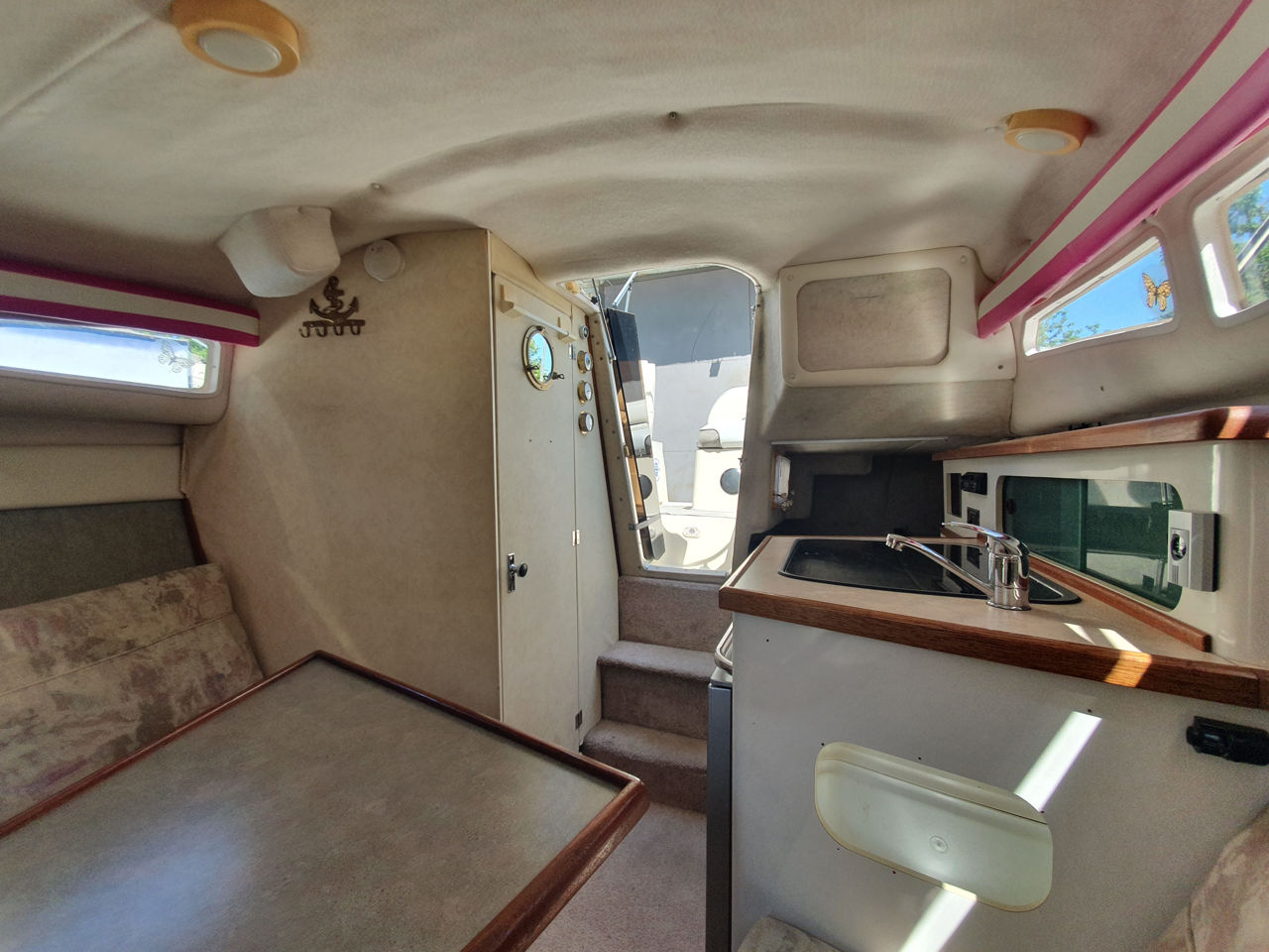 Bayliner Siera 2355 фото 4