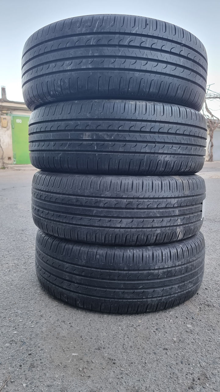 225 55 R19