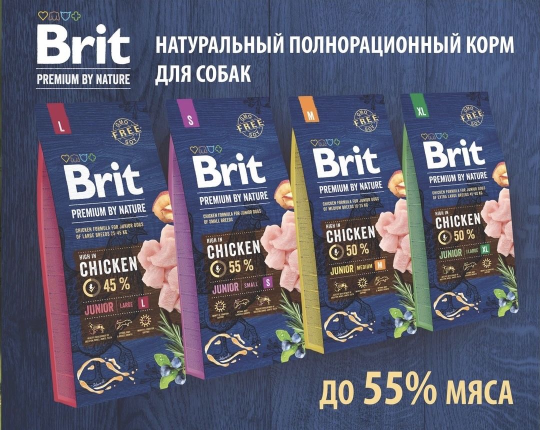 Корм для собак Brit! С доставкой! foto 1