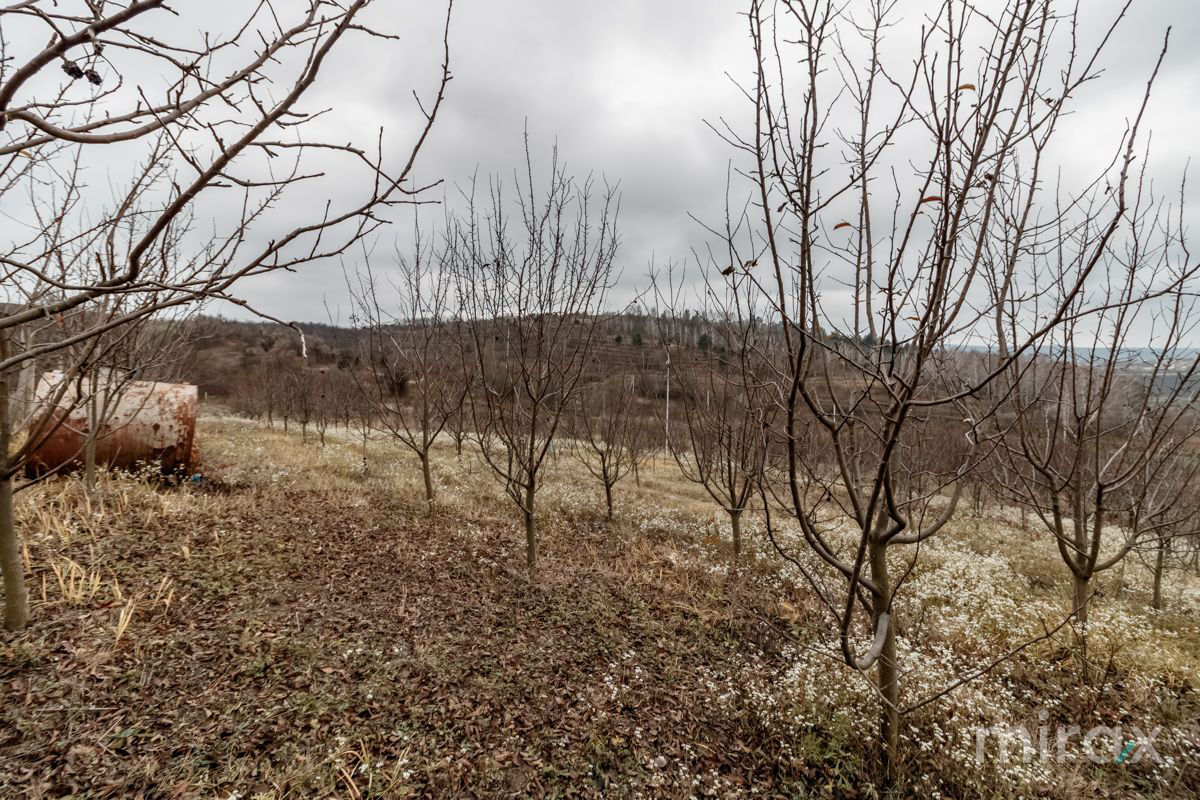 Se vinde Teren pentru construcții în s. Peresecina, zona de vile "La Chiperi", lângă padure! foto 6