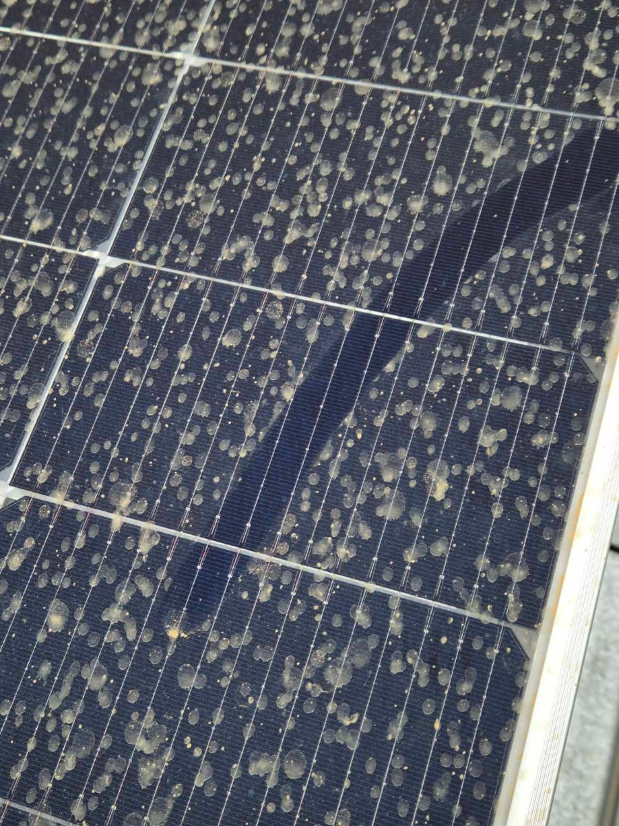 Spalare, curatare panouri solare. Чистка , Мойка солнечных панелей. foto 4