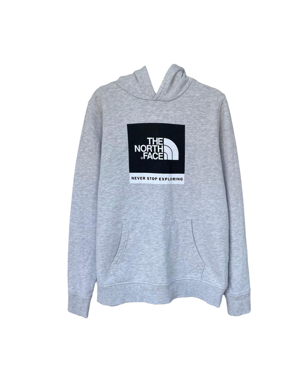 Худи The North Face