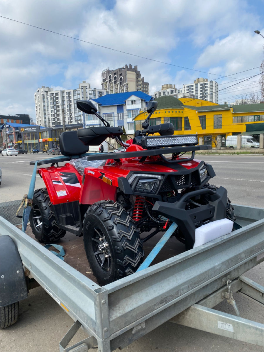 Viper 250 foto 7
