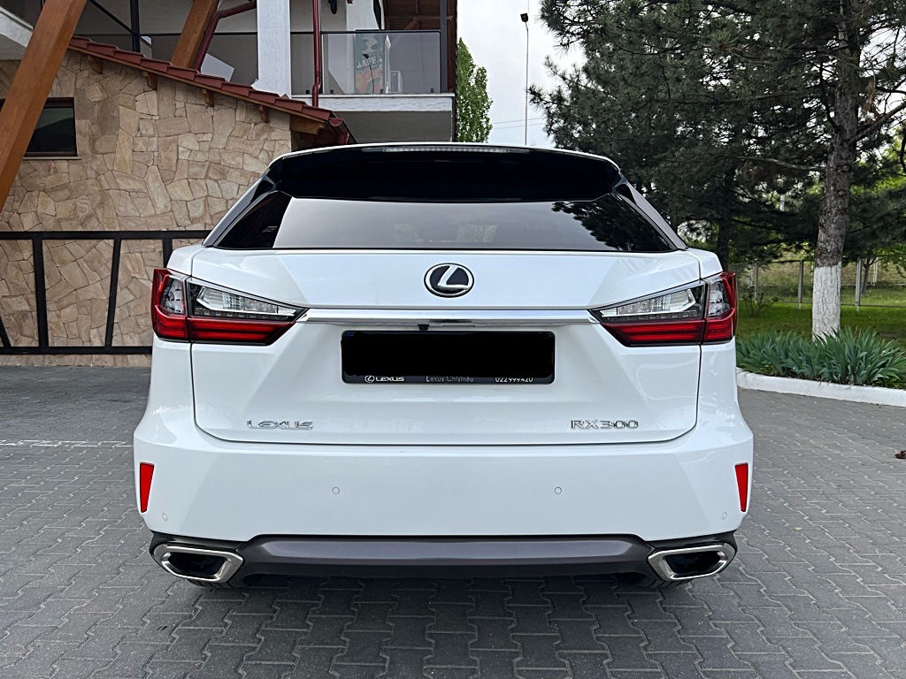 Lexus RX Series foto 8