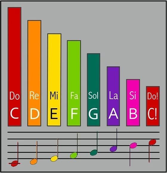 Lecții de Solfegiu, Teoria Muzicii foto 5