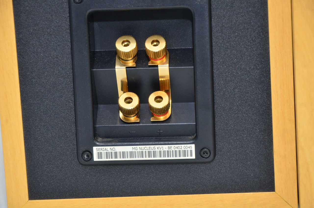 TDL Nucleus KV1 Мониторный звук фото 4