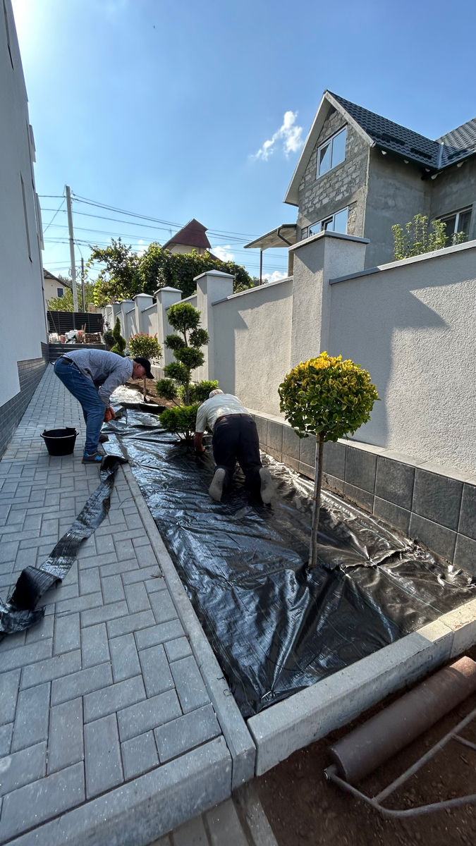 Scarificare / aerare gazon / servicii grădinărit foto 4