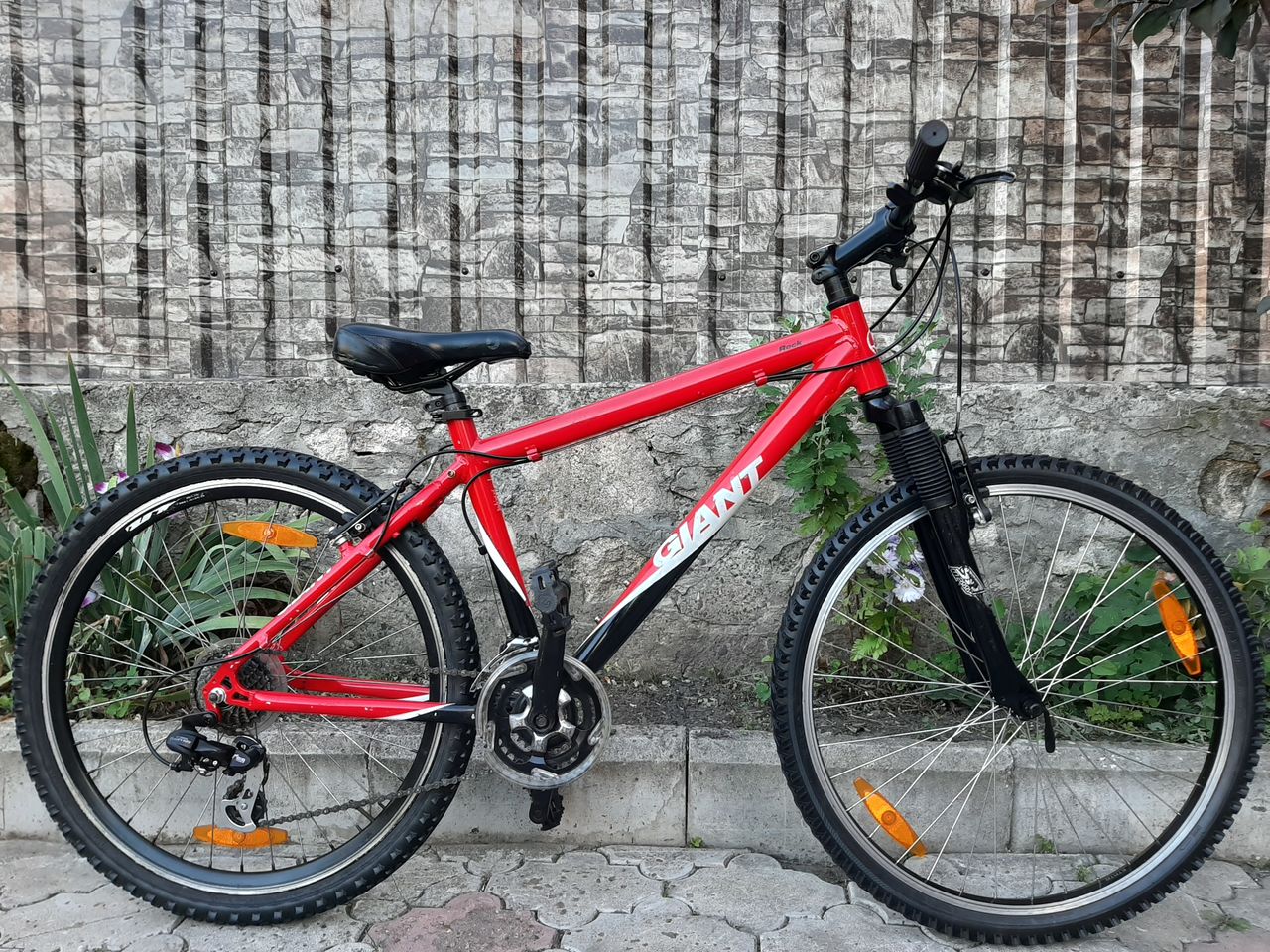 Giant 100€