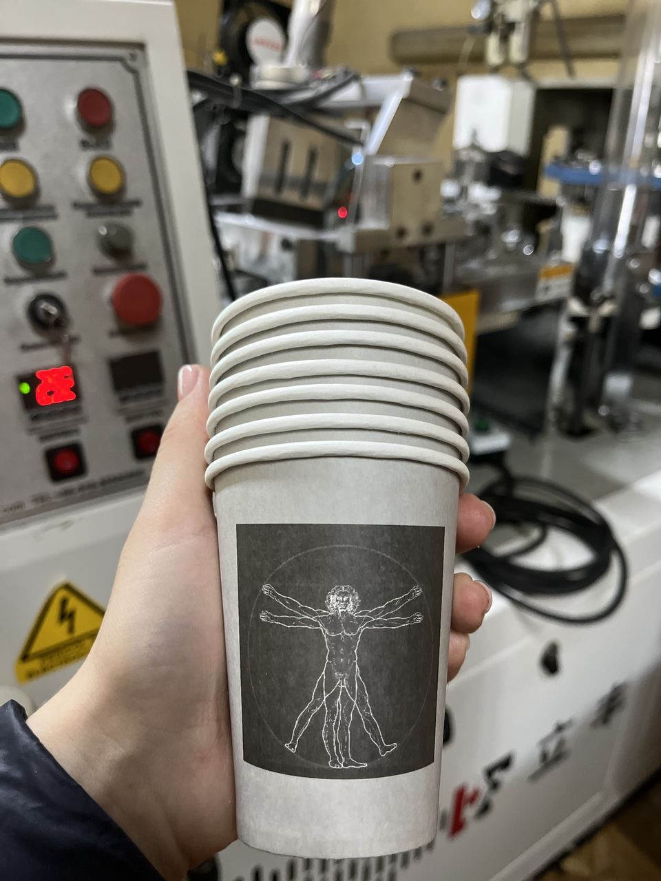 Pahare din carton pentru rasad foto 0