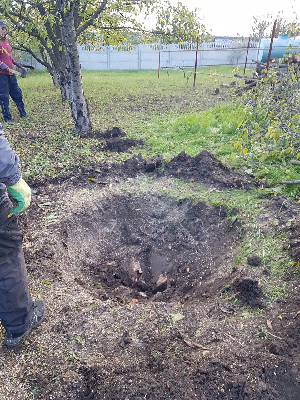 Scoatem radacini,tulpini. Выкарчевка деревьев и пеньков уборка территории foto 1