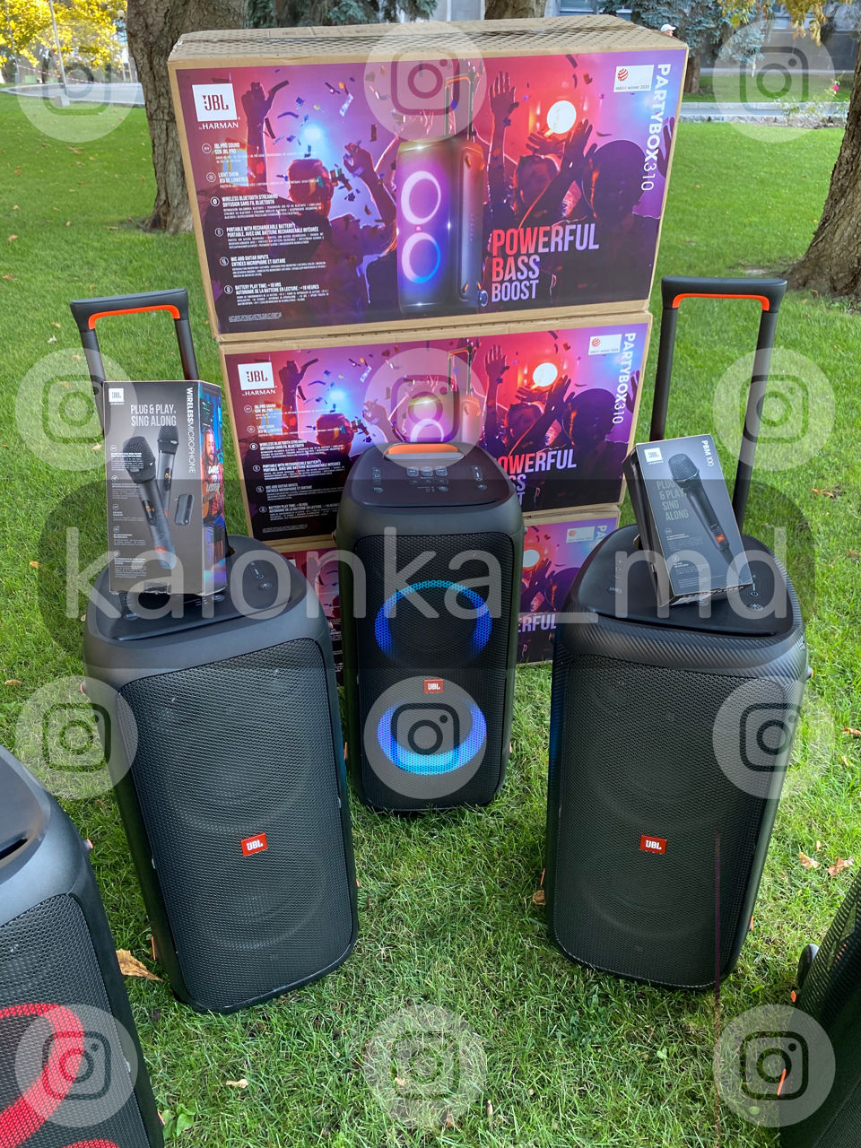 JBL 310 Аренда Прокат Chirie, Бесплатная доставка+Микрофон!!! foto 1