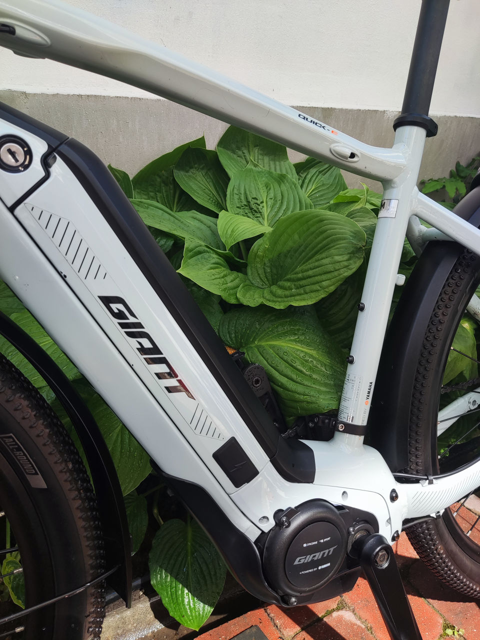 Giant Quick-3, Yamaha foto 6