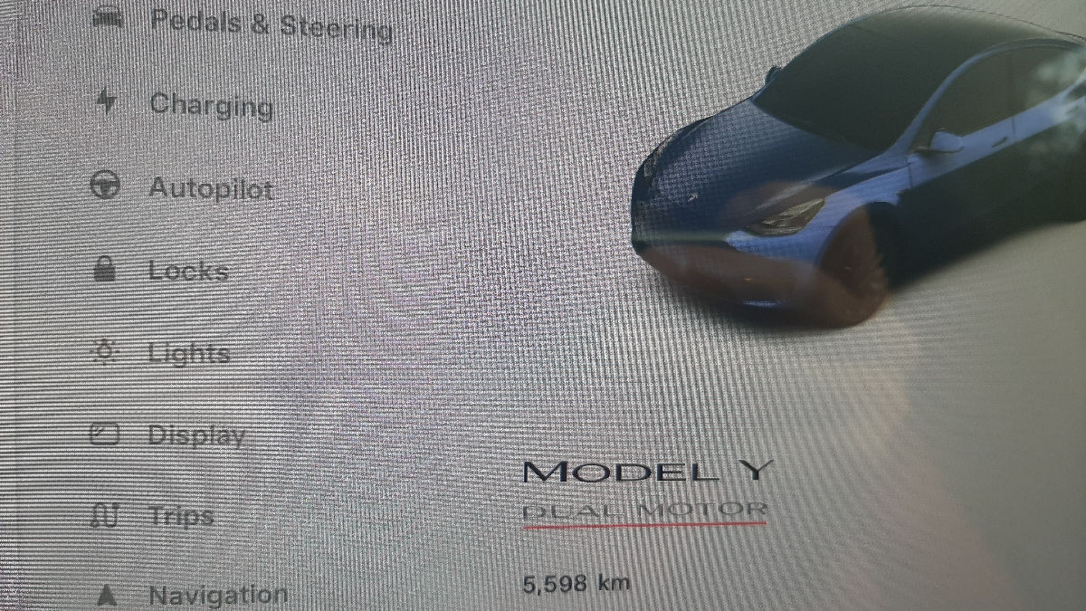 Tesla Model Y foto 6