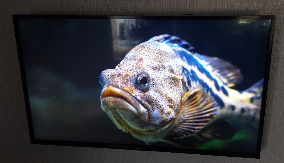 Lg"43" Smart tv 4K foto 2
