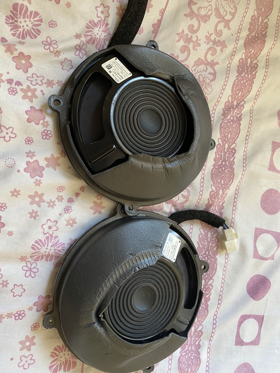 BOSE