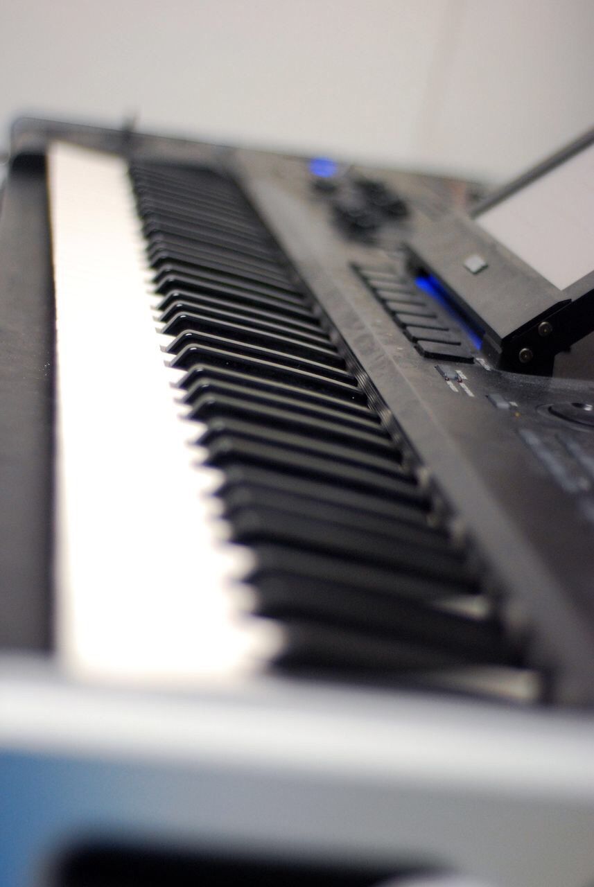 Lectii de acordeon in Chisinau фото 9