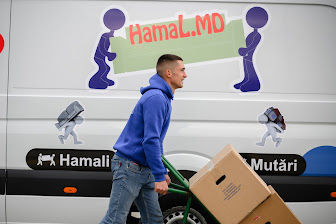 Переезды, грузчики, транспорт мебели, вывоз мусора, упаковка, демонтаж и логистика – Hamal.md Кишинё фото 3