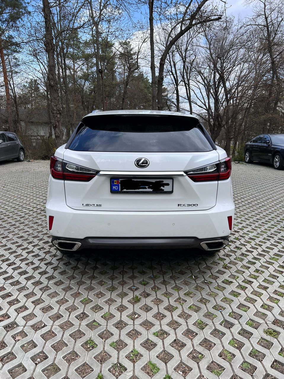Lexus RX Series фото 2