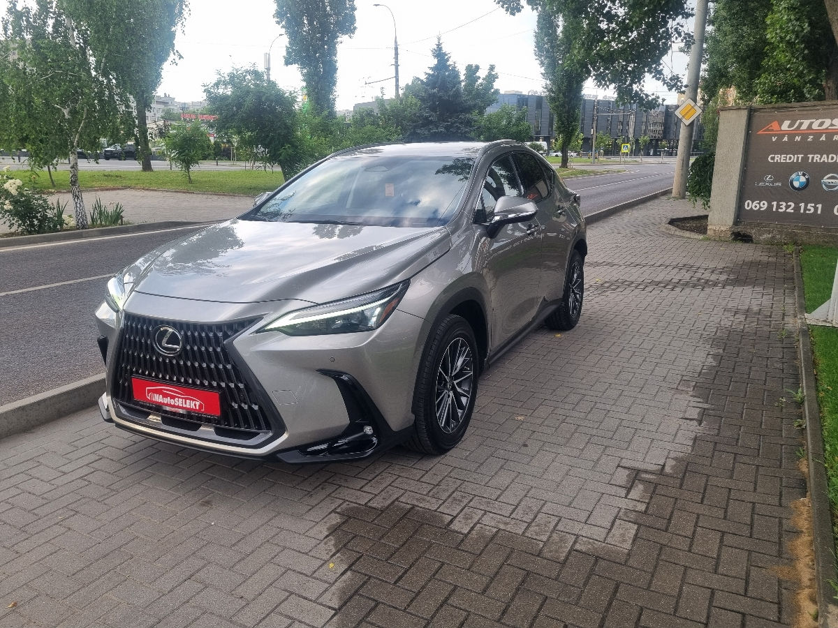 Lexus NX Series 2022