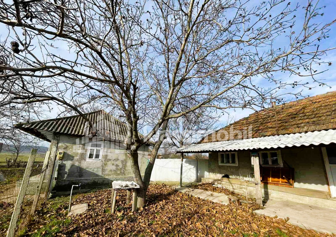 De vânzare căsuță cu un teren generos în satul Brăviceni, raionul Orhei! foto 0