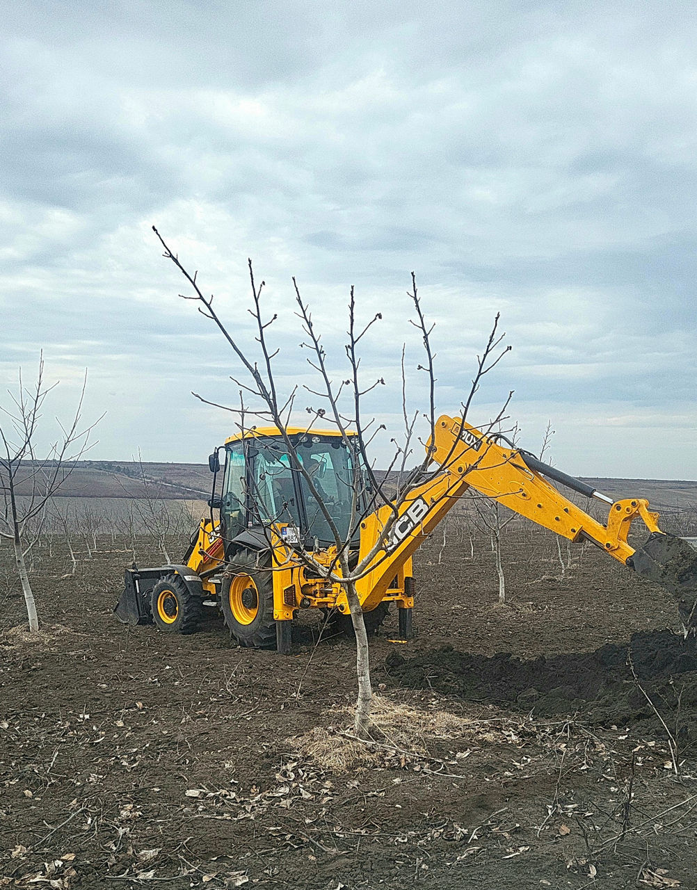 Buldoexcavator JCB 3CX Eco фото 1