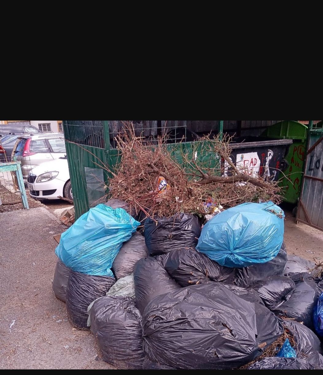 Evacuarea gunoiului rapid și calitativ +Hamali foto 1