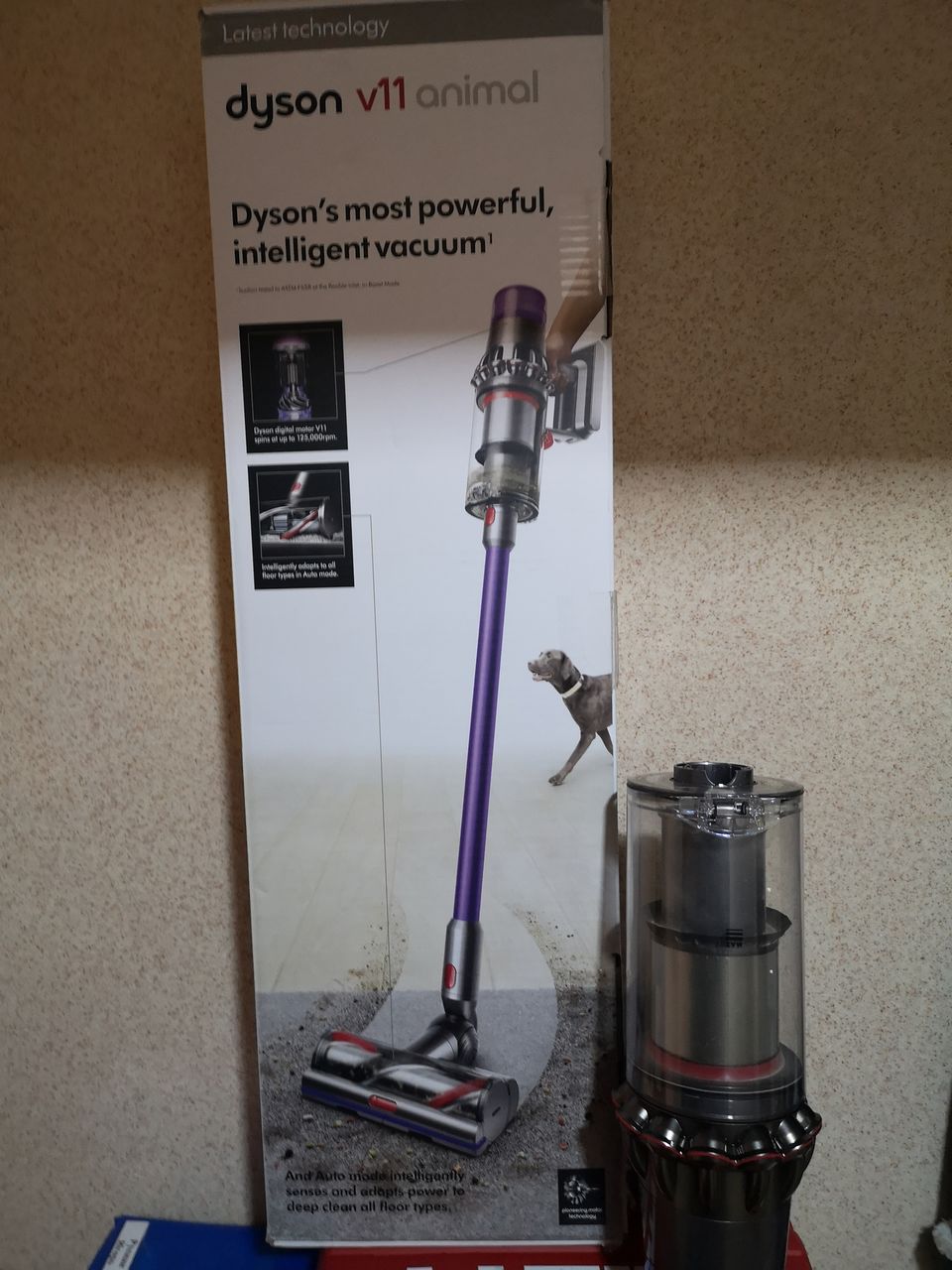 Пылесос Dyson v 11