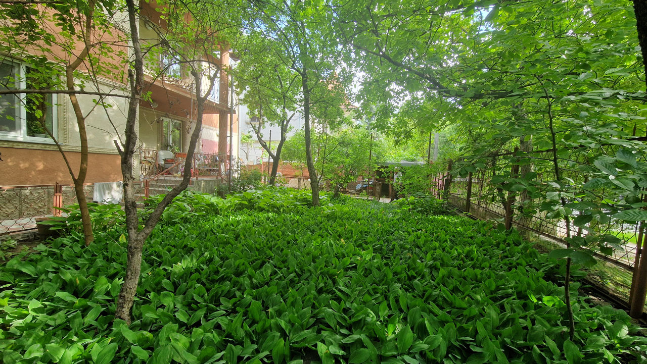 Perfect pentru investitie - casa + 6 ari - str. Belinski - prima linie foto 0