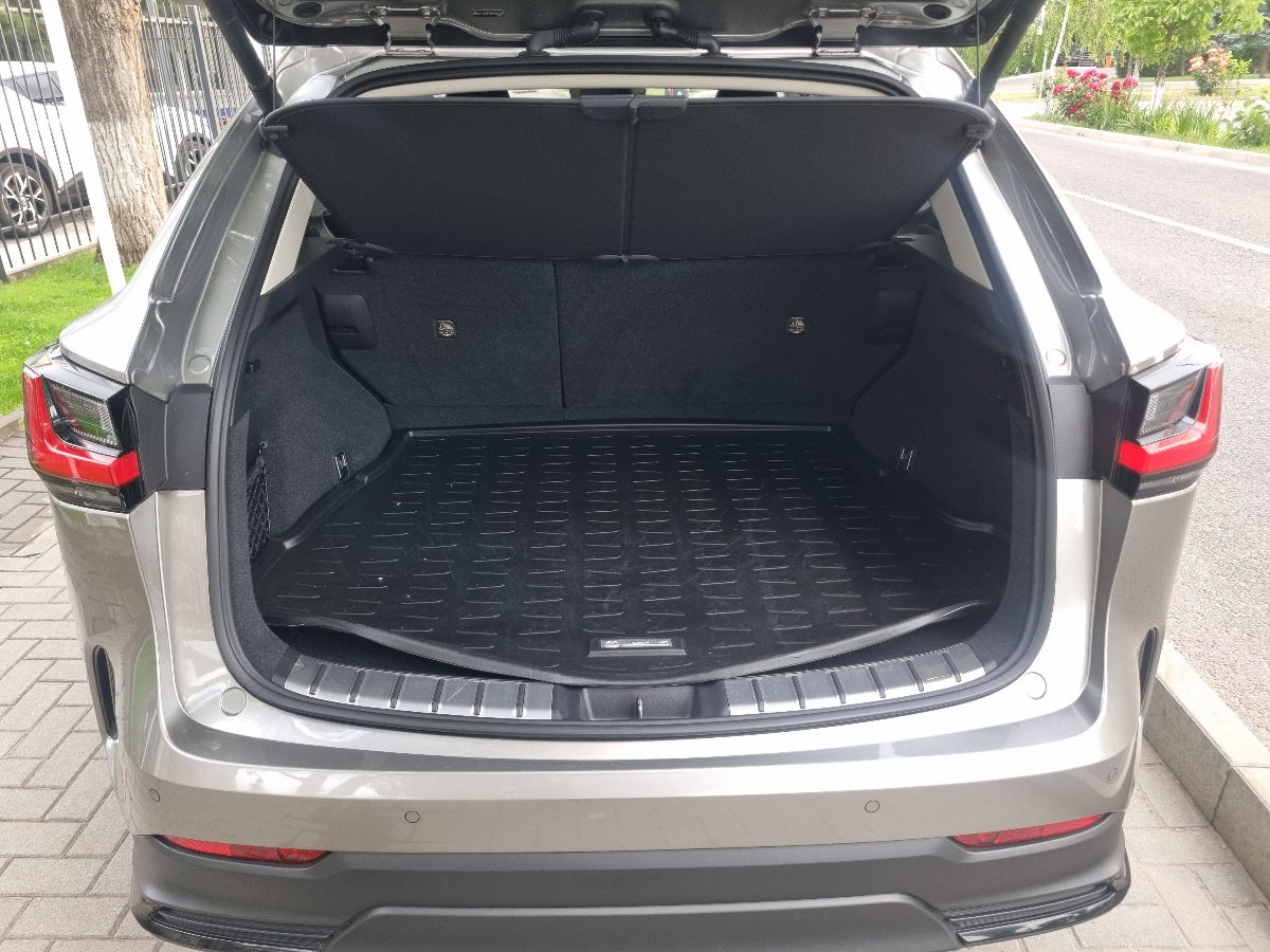 Lexus NX Series 2022 photo 19