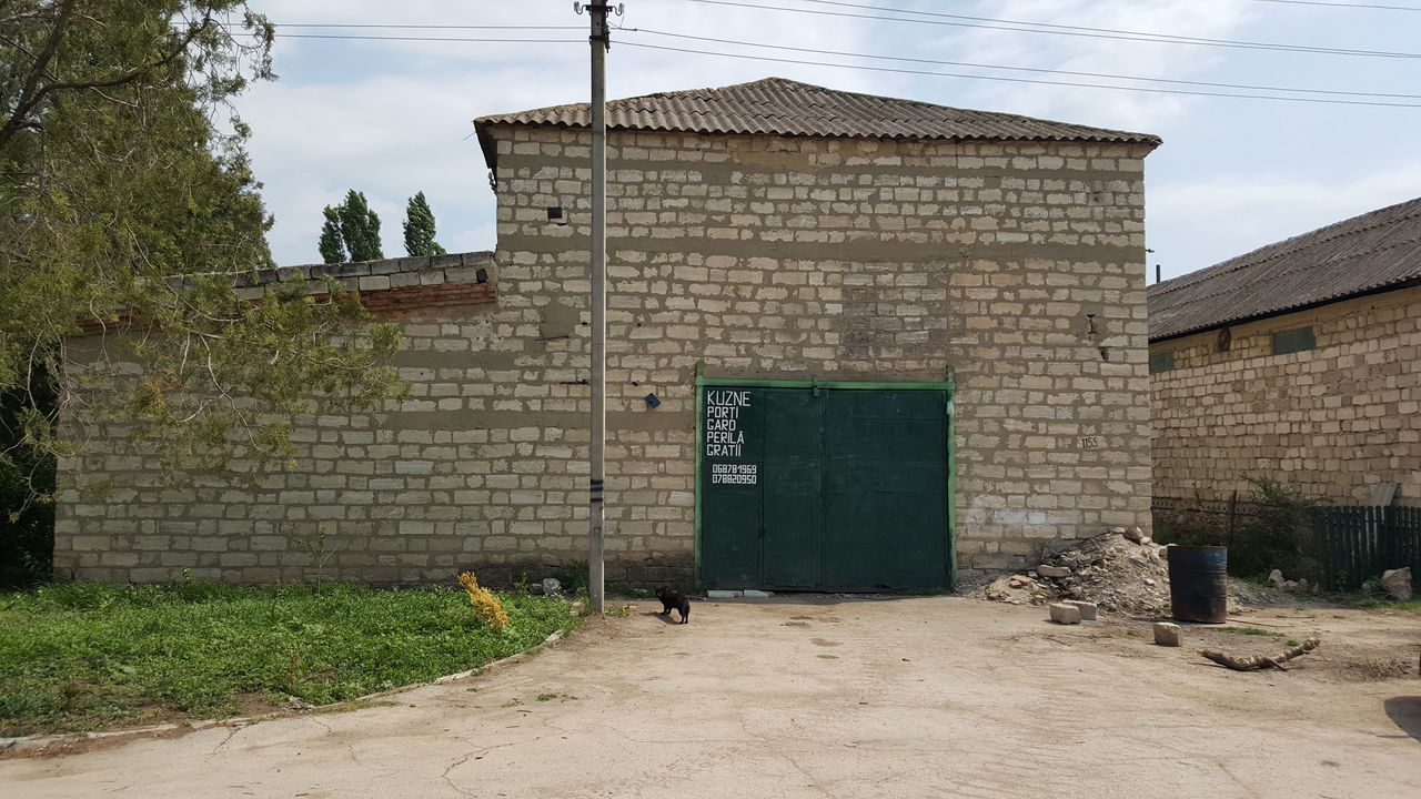 Construcţie agricolă, agroindustrială Suprafaţa foto 6