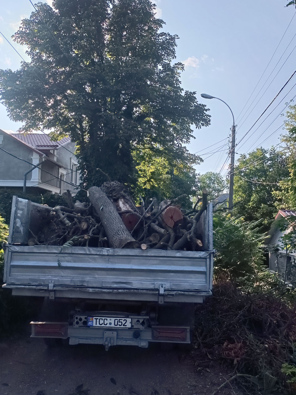 Evacuare deșeuri:ducem gunoiul din orice loc în chișinău.bus zil,kamaz,conteiner,,saci gunoi,evacuar foto 7