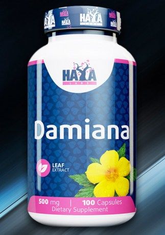 Damiana «тернера раскидистая» или «турнера» foto 0