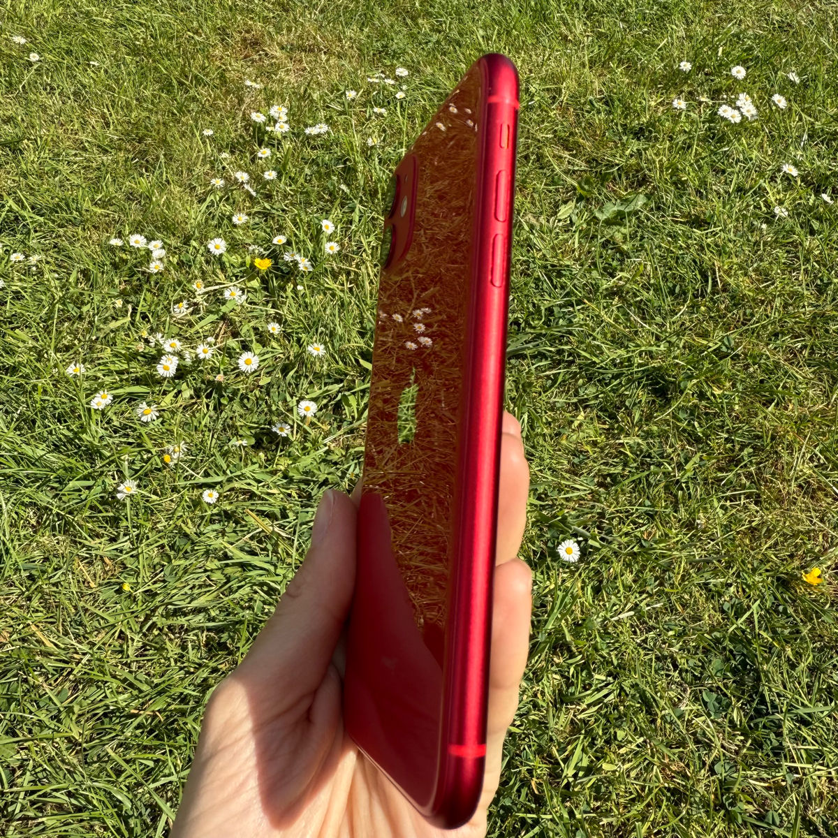 Apple iPhone 11 Red foto 5